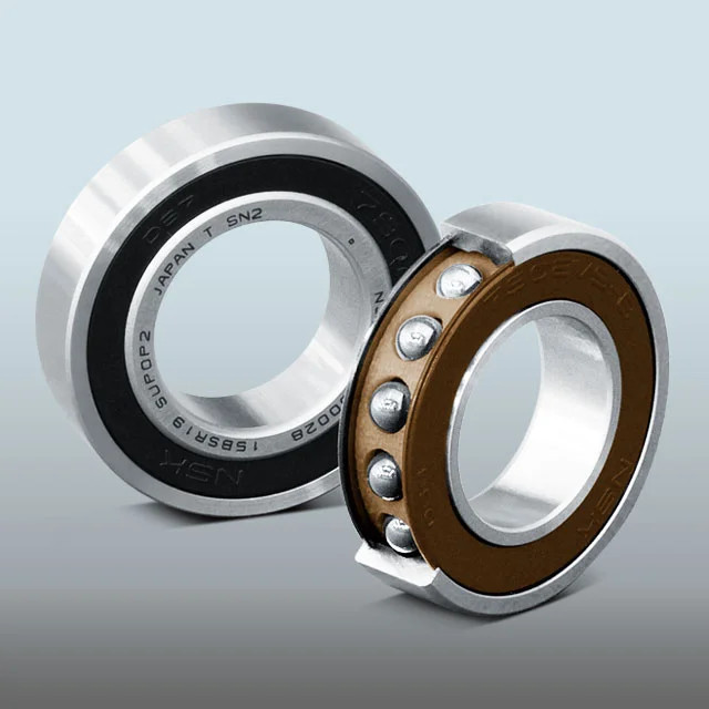 Single-Row Deep Groove Ball Bearings